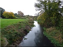 SJ5624 : River Roden near Stanton upon Hine Heath by Sandy Gerrard