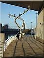 NS5764 : Contorted lampposts by Oliver Dixon