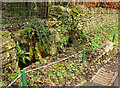 Water trough and pump, Compton Abdale