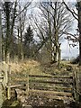 Stile and footpath