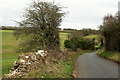 Lane northeast of Compton Abdale