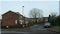 Minivet Drive, Balsall Heath