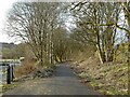 Strathkelvin Railway Path