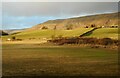 Fields east of Lennoxtown