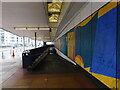 Mural, Charter Place Shopping Centre