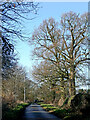 Beamish Lane east of Albrighton in Shropshire