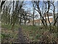 Path through woodland by industrial estate