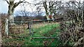 Field gateway on east side of rural road north of Faugh