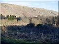 Derelict land, Lennox Castle site