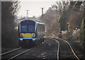 J3978 : Train, Holywood by Rossographer