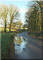 Puddle near Colmer Cross