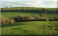 Fields near Shaddows