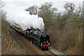 SJ8403 : Steam locomotive west of Codsall in Staffordshire by Roger  D Kidd