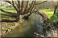 Congresbury Yeo at Beam Bridge