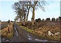 Access road to Easter Kincraig