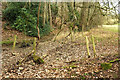 Stream near Hook Norton