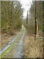 Track at the end of Station Road