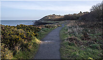 J4582 : The North Down Coastal Path at Helen's Bay by Rossographer
