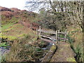 Pompren dros nant / A footbridge over a stream