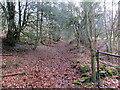 Llwybr ger Cwmgeredig / Path near Cwmgeredig