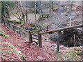 Llwybr uchben Nant Geredig / Path above Nant Geredig