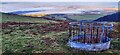 Feeding Trough with Lavan Mudflats Beyond