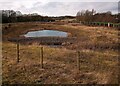 SUDS pond near M74