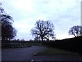 Early morning at Aldershot Park