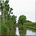 Canal near Baswich in Stafford