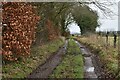 Bridleway on track south of Search Farm