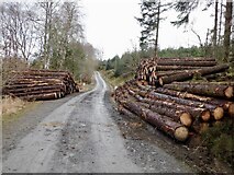 NN5305 : Logs, Achray Forest by Richard Webb