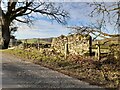 Inn Cottage Ruin