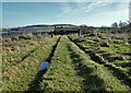 Approaching Mount Pleasant at Scammonden