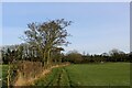 Public Footpath heading North towards Barns Fold Farm