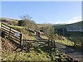 Cattle grid, Sourhope