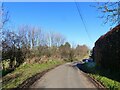 Looking north up the road at Llandenny Walks