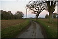 Assington: lane looking east from Glebe Cottage