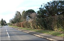 SP4701 : Lamborough Hill, Wootton by David Howard