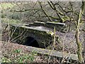 Old bridge over stream