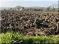 Winter ploughing