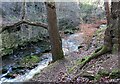 Rocky section of the Derwent at Shotley Grove