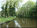 Staffs and Worcs canal at Wood Bank