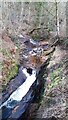 River Gelt from SE parapet of Low Gelt Bridge