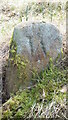 Old Boundary Marker in Park Wood, Consett