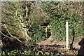 Gate on path out of wood to golf course