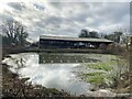 Pond at Robleston Hall