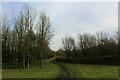 Track on the Southern Boundary of Goosnargh Golf Course