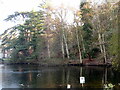 Partly frozen lake at Lexden Park