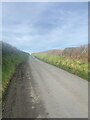 Country lane towards Norton Cross