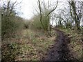 Bridleway and old rail track diverge